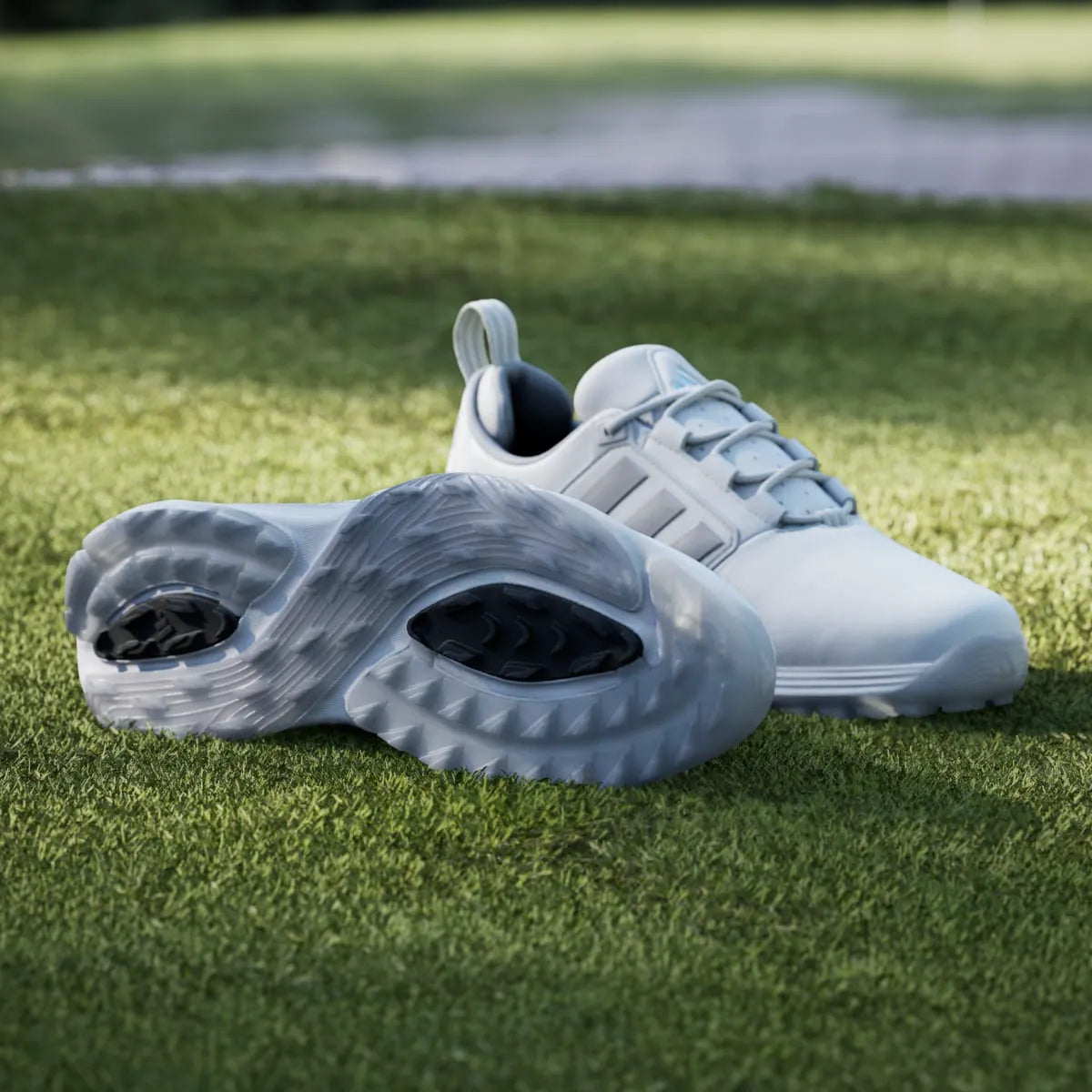 Golf White