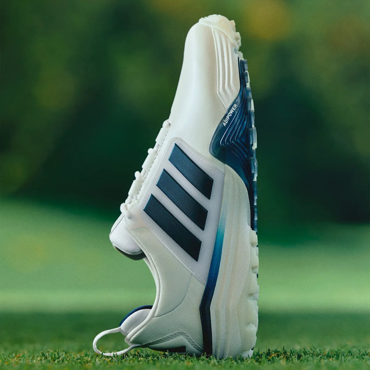 Golf White