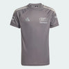 Motorsport Grey