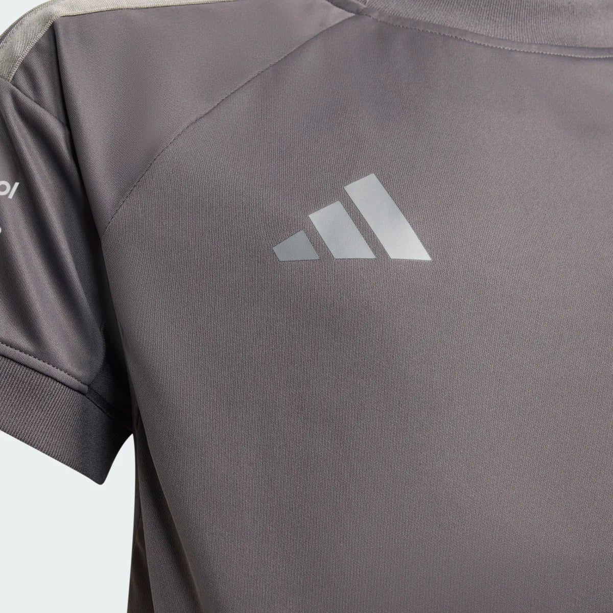 Motorsport Grey
