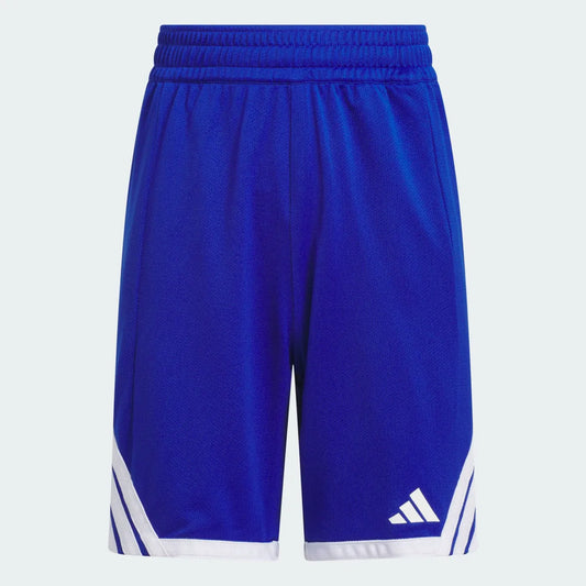 Basketball Blue