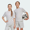 Soccer Grey