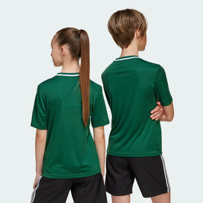 Soccer Green