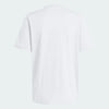 Soccer White