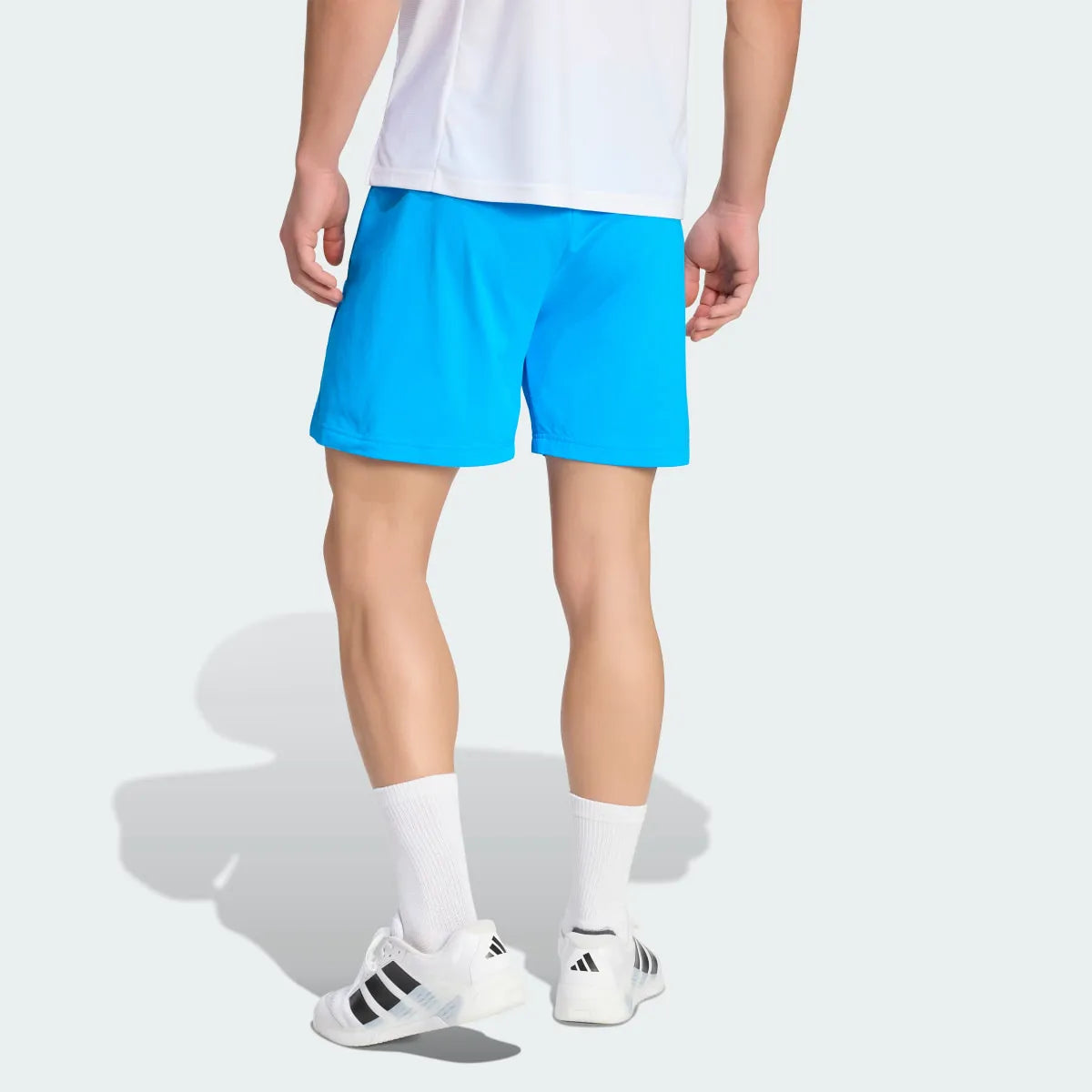 Boxing Blue