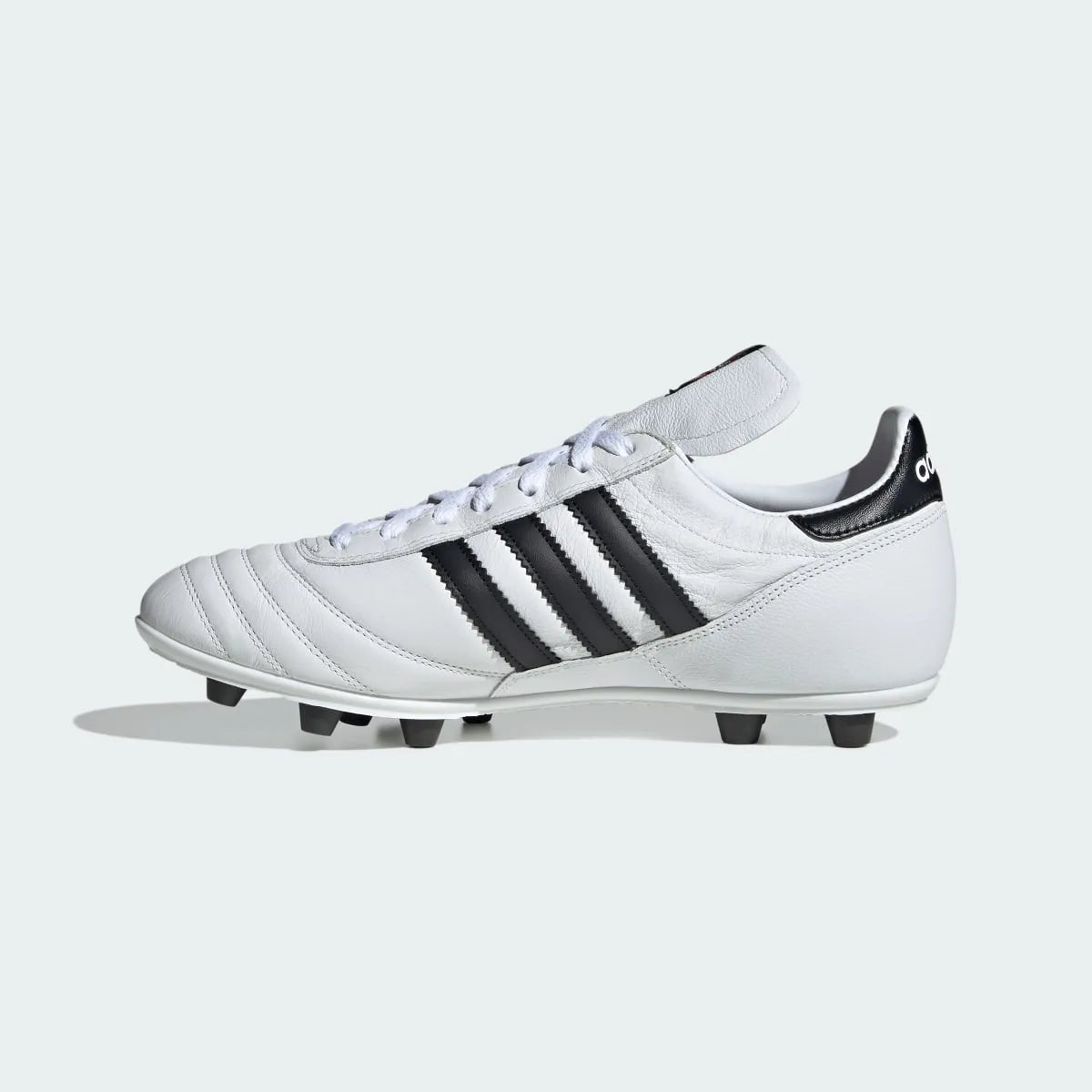 Soccer White