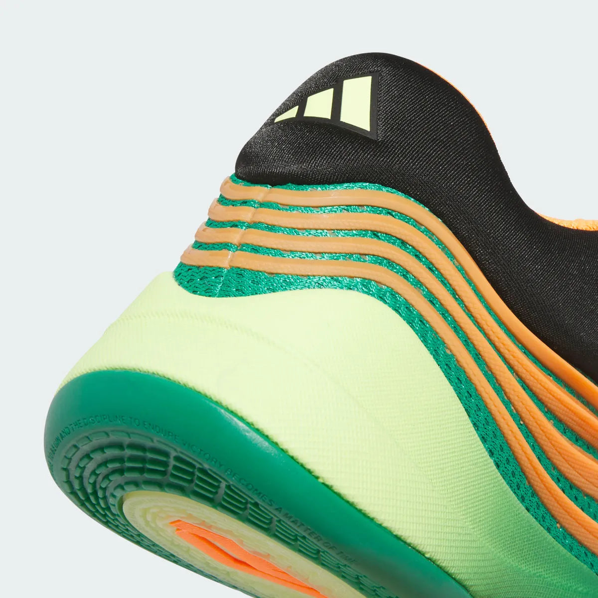 Basketball Green