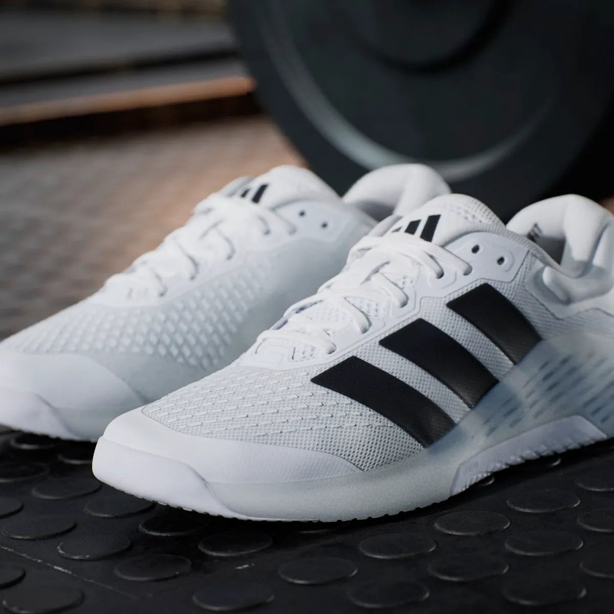 Weightlifting White