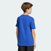 Soccer Blue