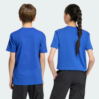 Soccer Blue
