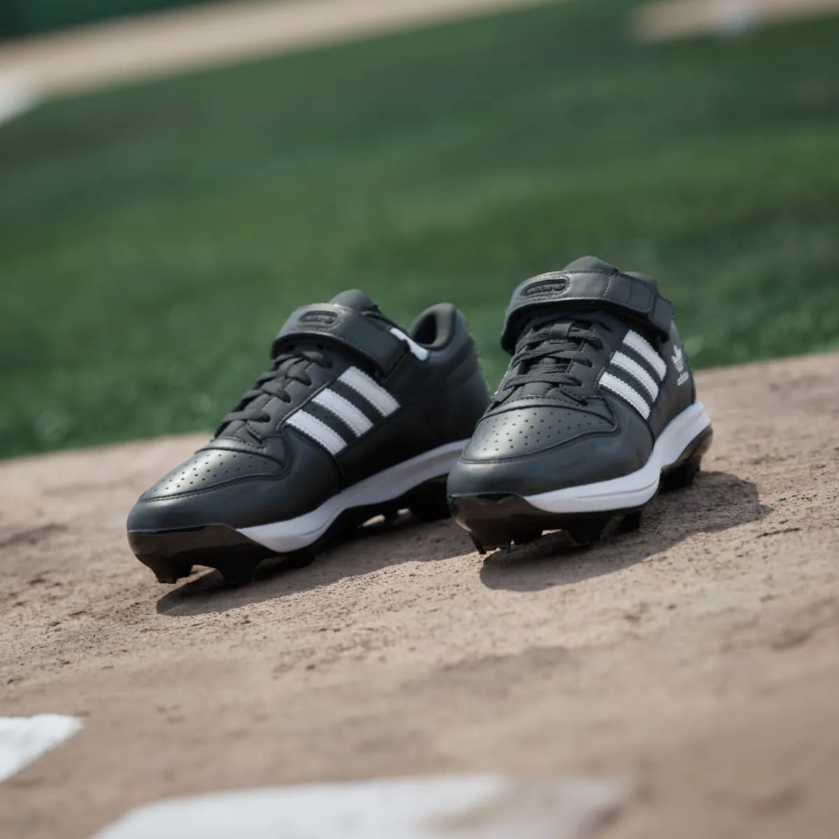 Baseball Black