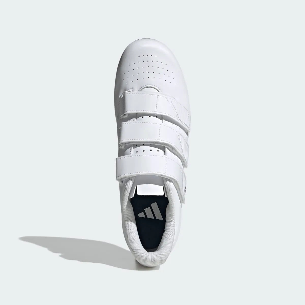 Cycling White