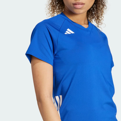 Volleyball Blue