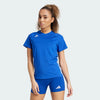 Volleyball Blue