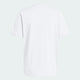 Football White