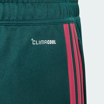 Soccer Green