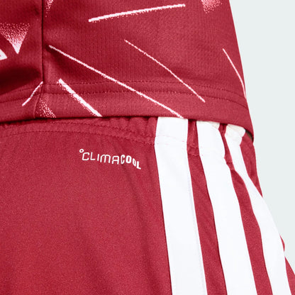 Soccer Burgundy