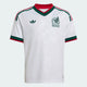 Soccer White