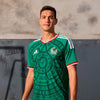 Soccer Green