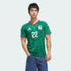 Soccer Green