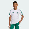 Soccer White