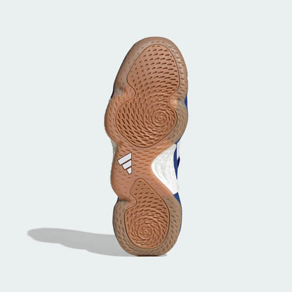 Volleyball Blue
