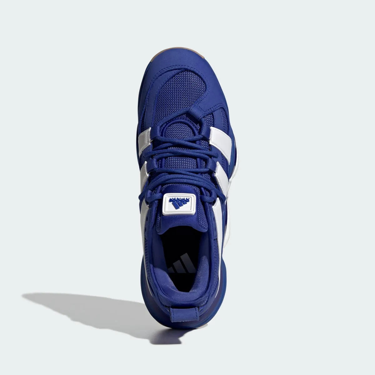 Volleyball Blue