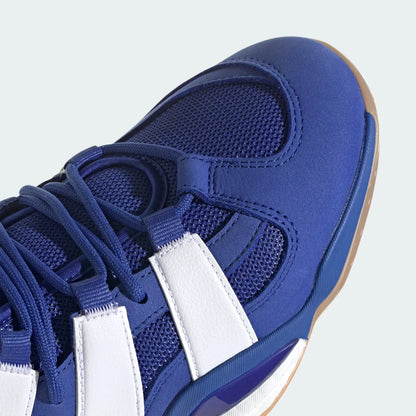Volleyball Blue