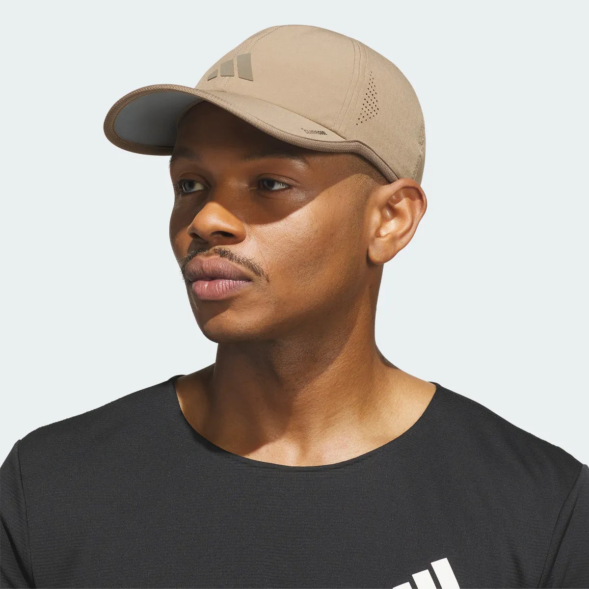 Lifestyle Beige