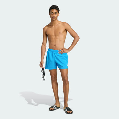 Swimming Blue