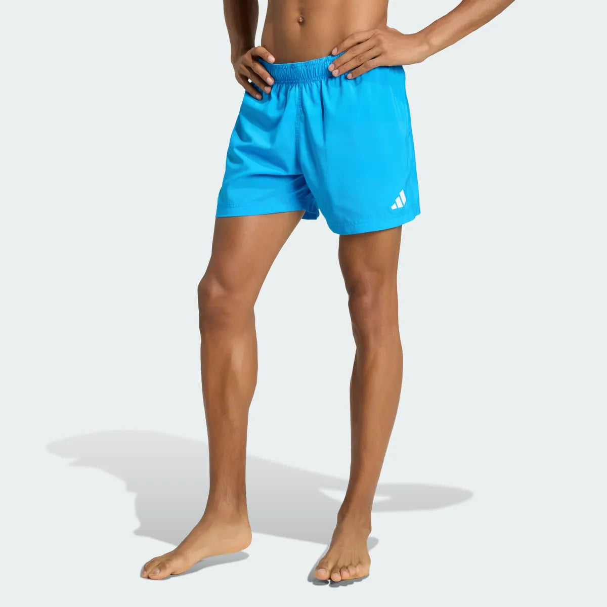 Swimming Blue