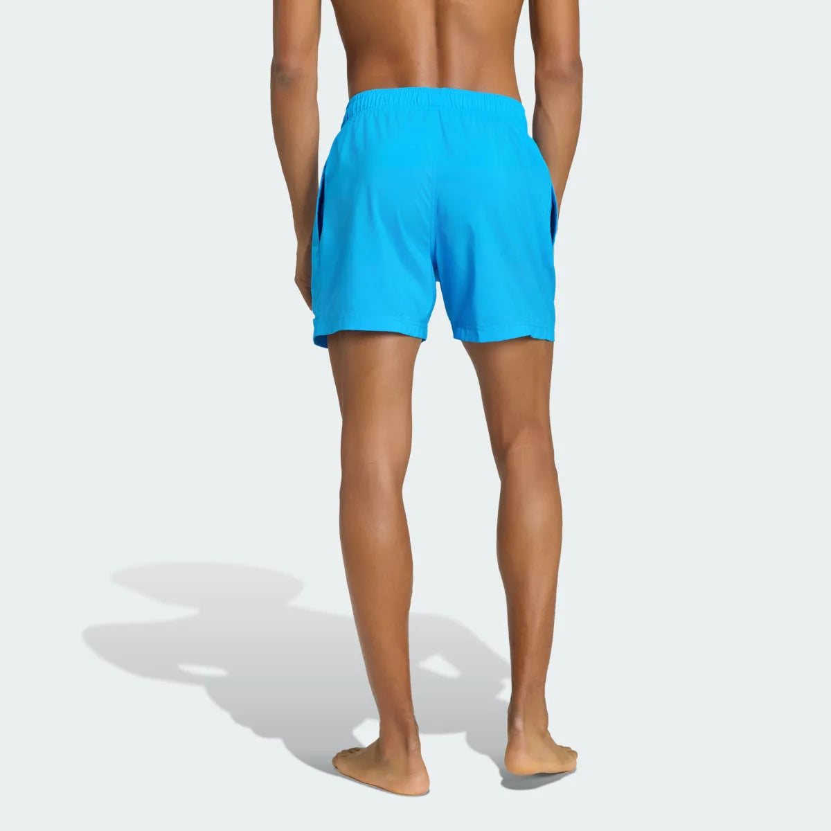 Swimming Blue