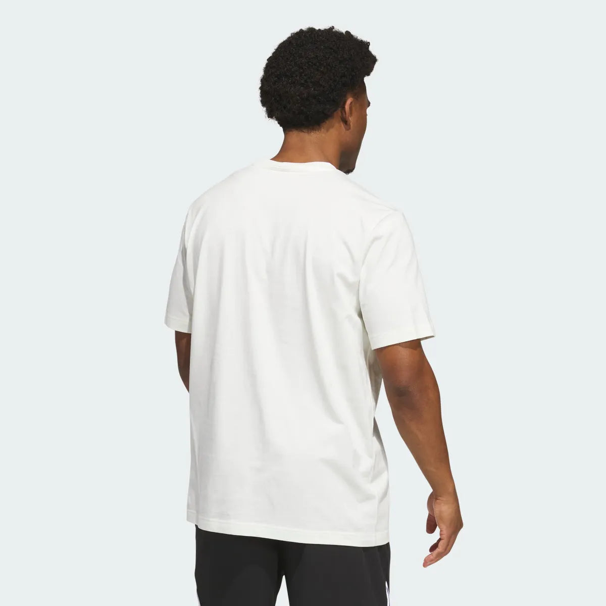 Basketball White
