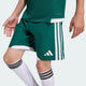 Soccer Green