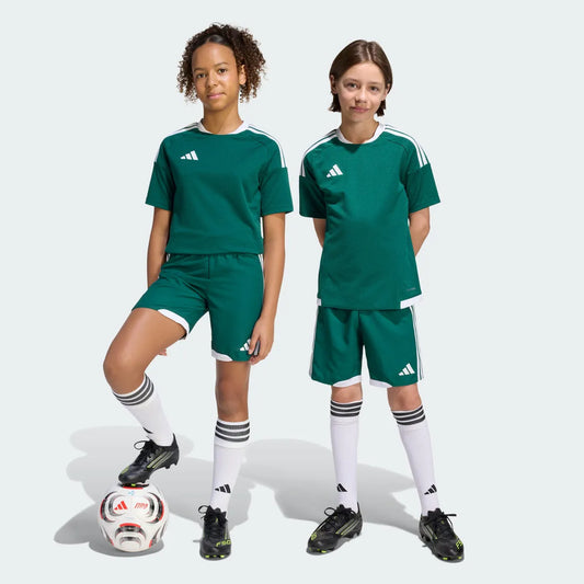 Soccer Green