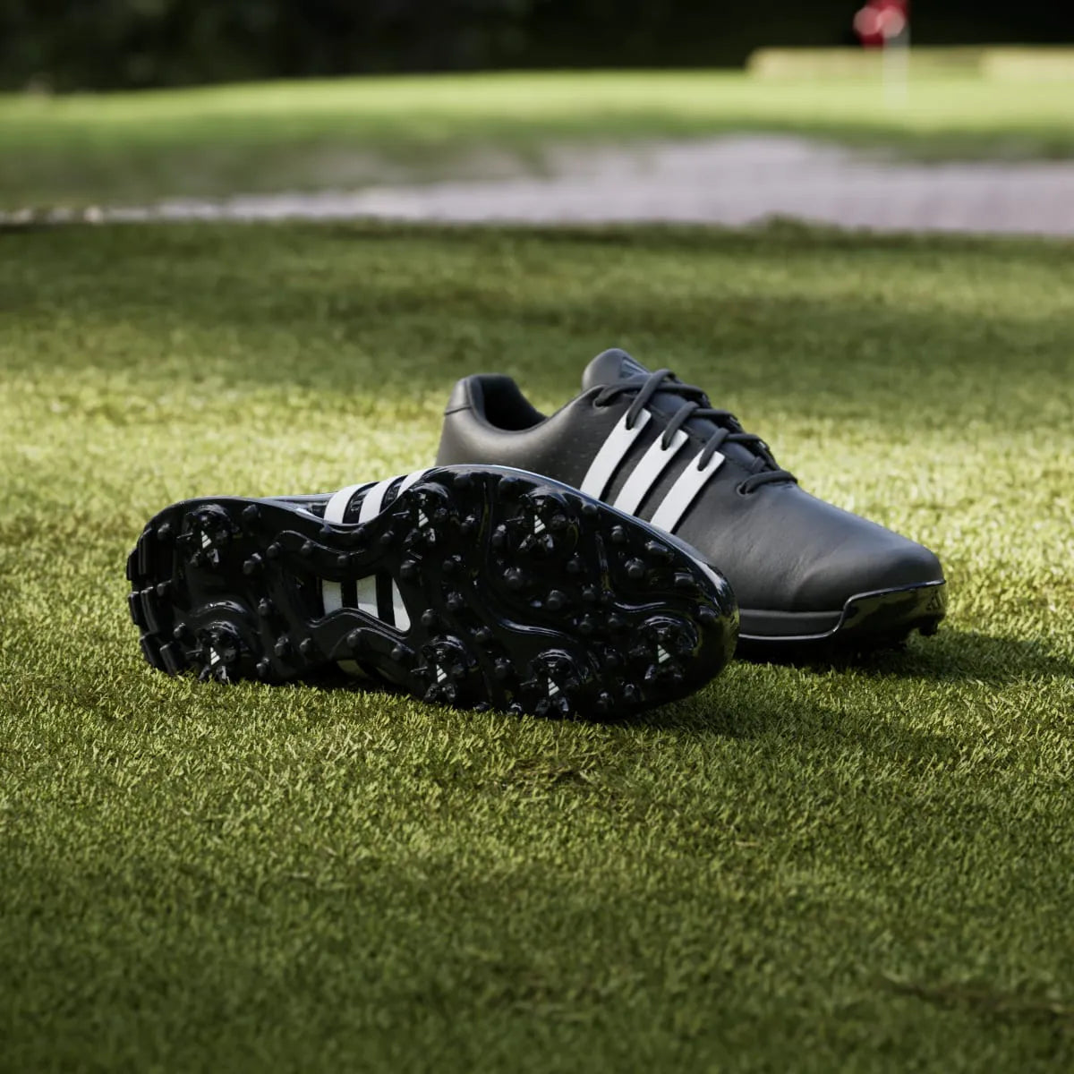 Golf Black