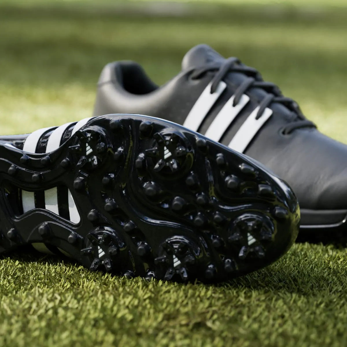 Golf Black