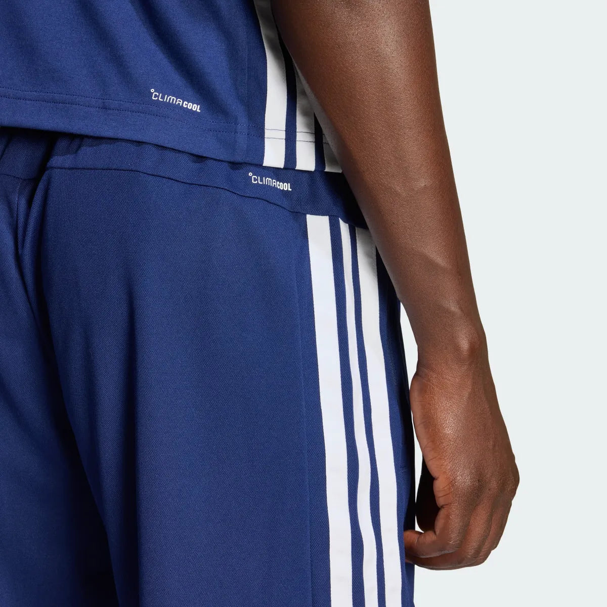 Workout Blue