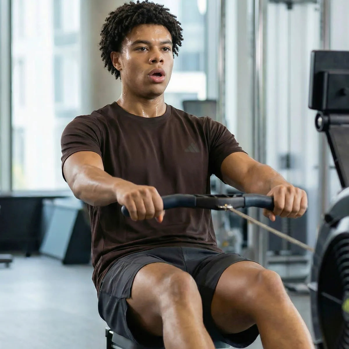Workout Brown