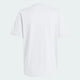 Soccer White