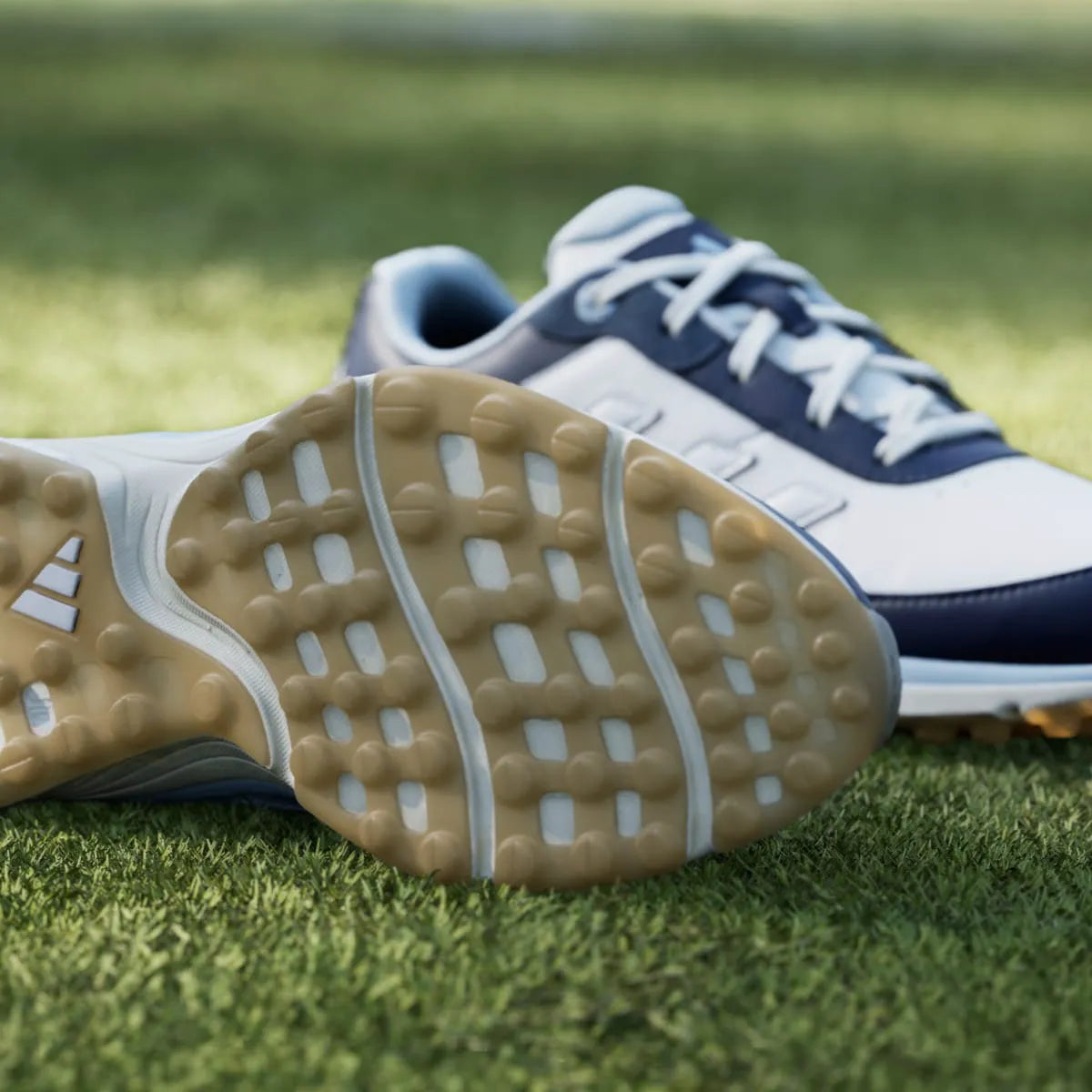 Golf Blue